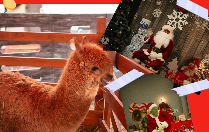 Marché de Noël